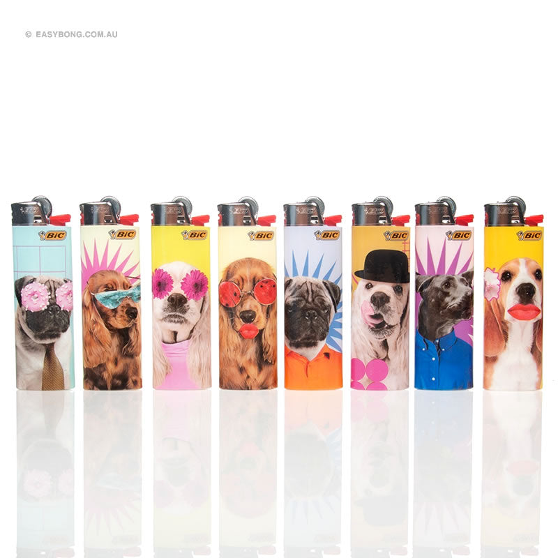 Bic Lighters