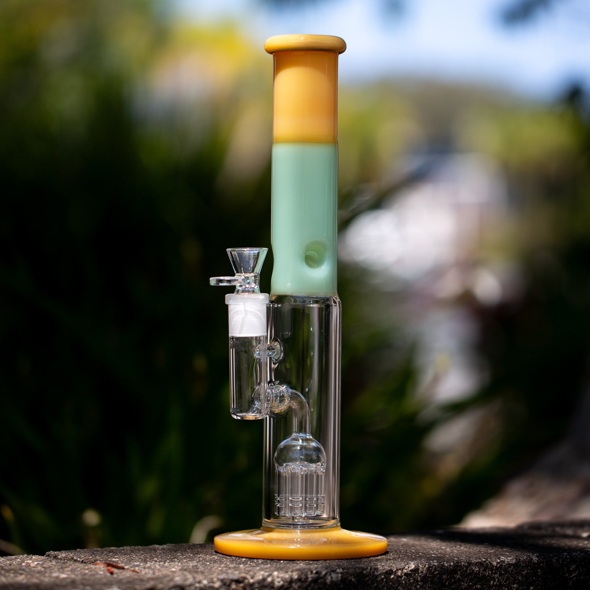 Glass bong with percolator for Australian medical cannabis smokers.